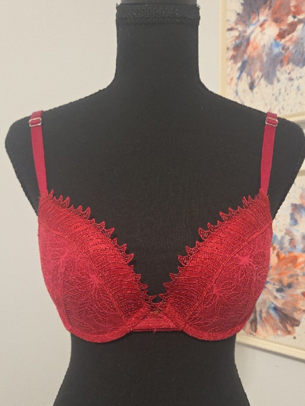 Lace Push-Up Bra in Deep Red with Floral Detail